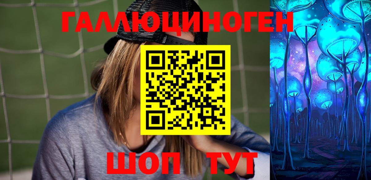 Галлюциногенные грибы Psilocybine cubensis Краснознаменск