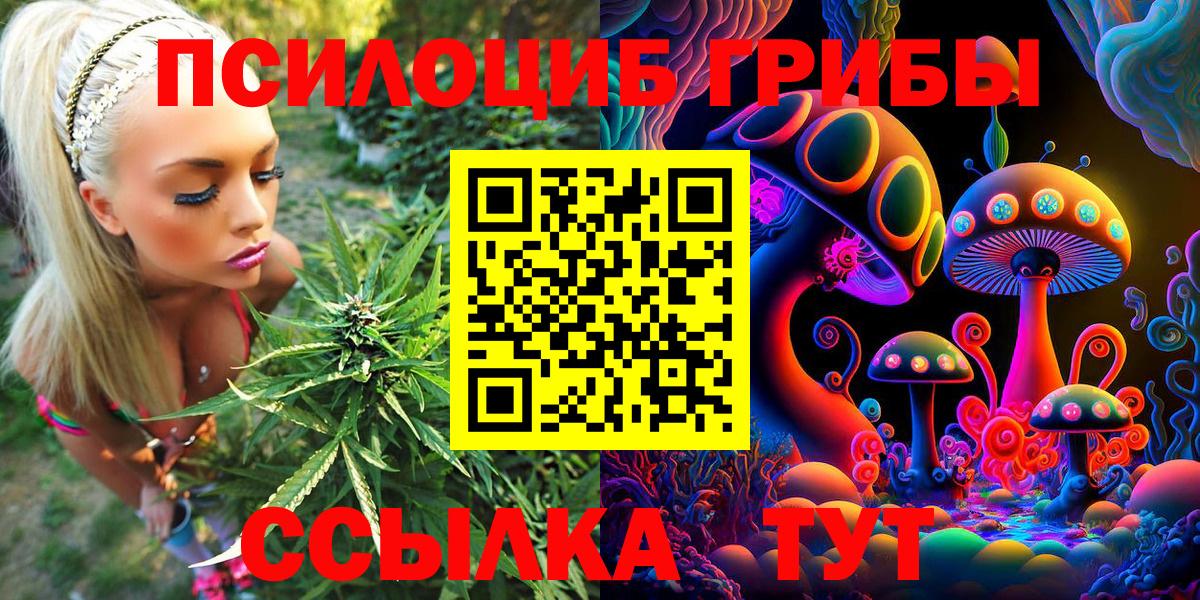 магазин продажи   Вход с VPN  Краснознаменск  Псилоцибиновые грибы мицелий 