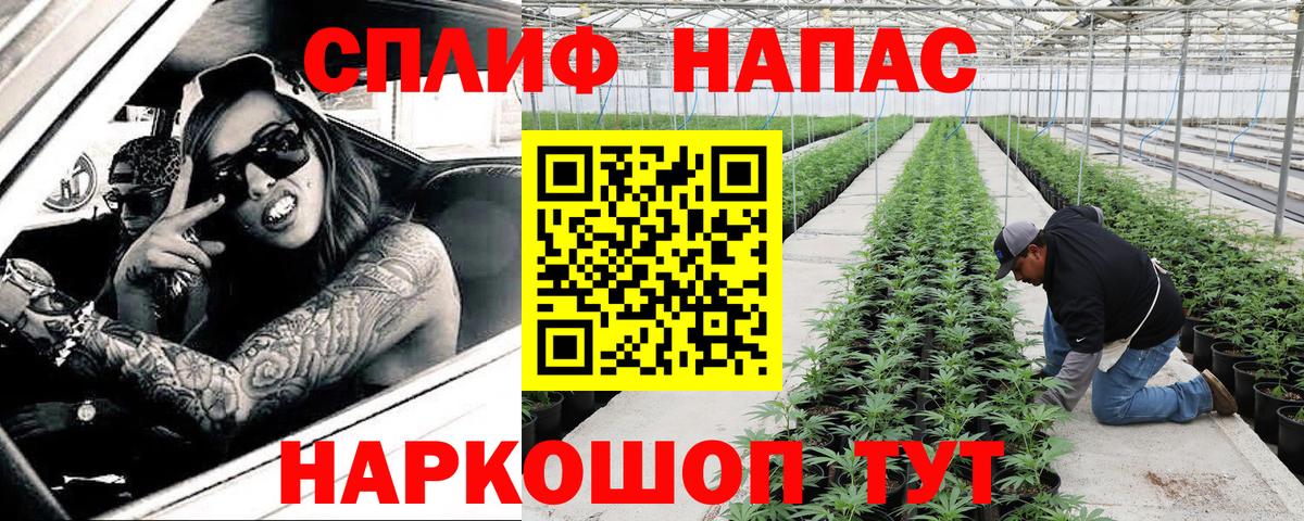 Бошки марихуана MAZAR  Шишки марихуана AK-47  Бошки марихуана гибрид  Краснознаменск  Вход с VPN  Шишки марихуана OG Kush 